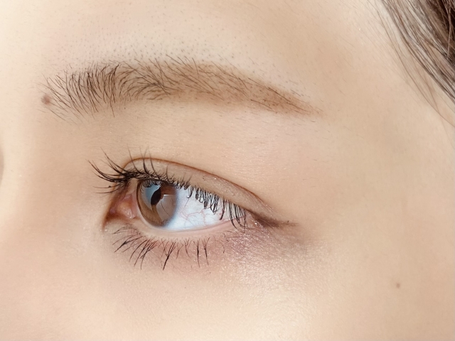 眉毛を濃く育てる4つの方法